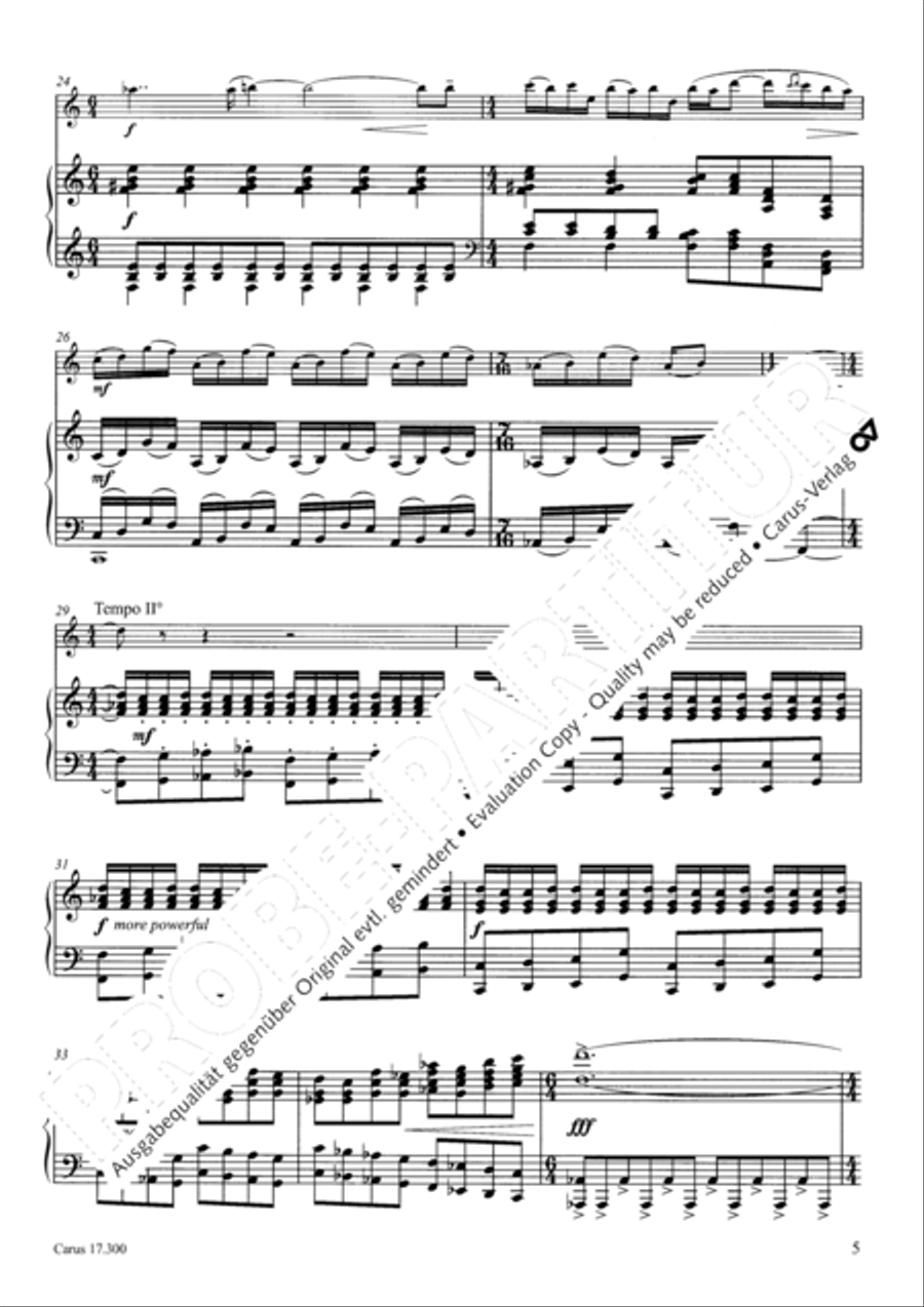 Subway Solitary Flute Solo scores gallery preview page 6