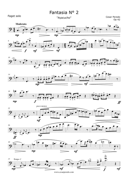 Fantasia N° 2 Op 49 para fagot solo "Ayacucho" image number null
