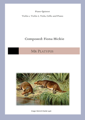 Book cover for Mr Platypus: String Quartet and Piano