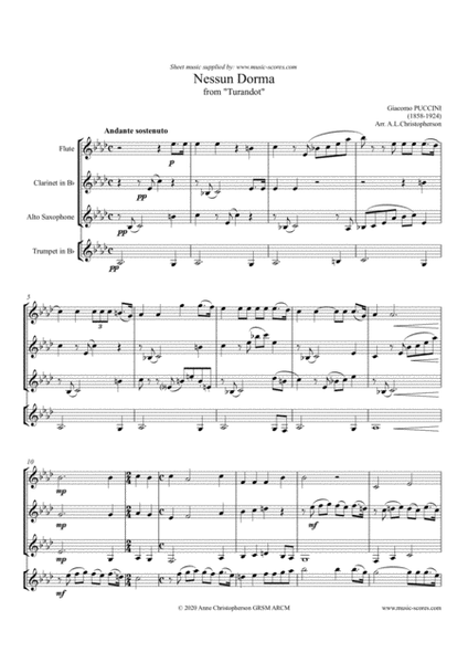Nessun Dorma - Flute, Clarinet, Alto Sax and Trumpet image number null