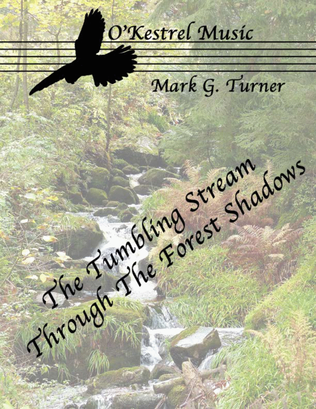 The Tumbling Stream Through The Forest Shadows