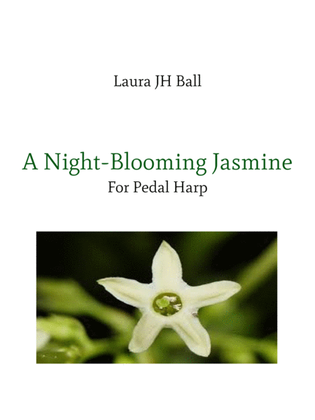 A Night-Blooming Jasmine