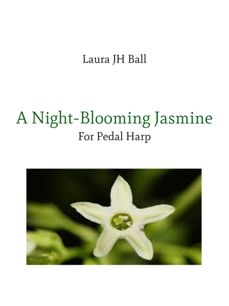 A Night-Blooming Jasmine image number null