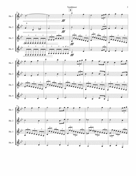 Richard Wagner - Tannhäuser (Pilgrim's Chorus) for Horn Quartet image number null
