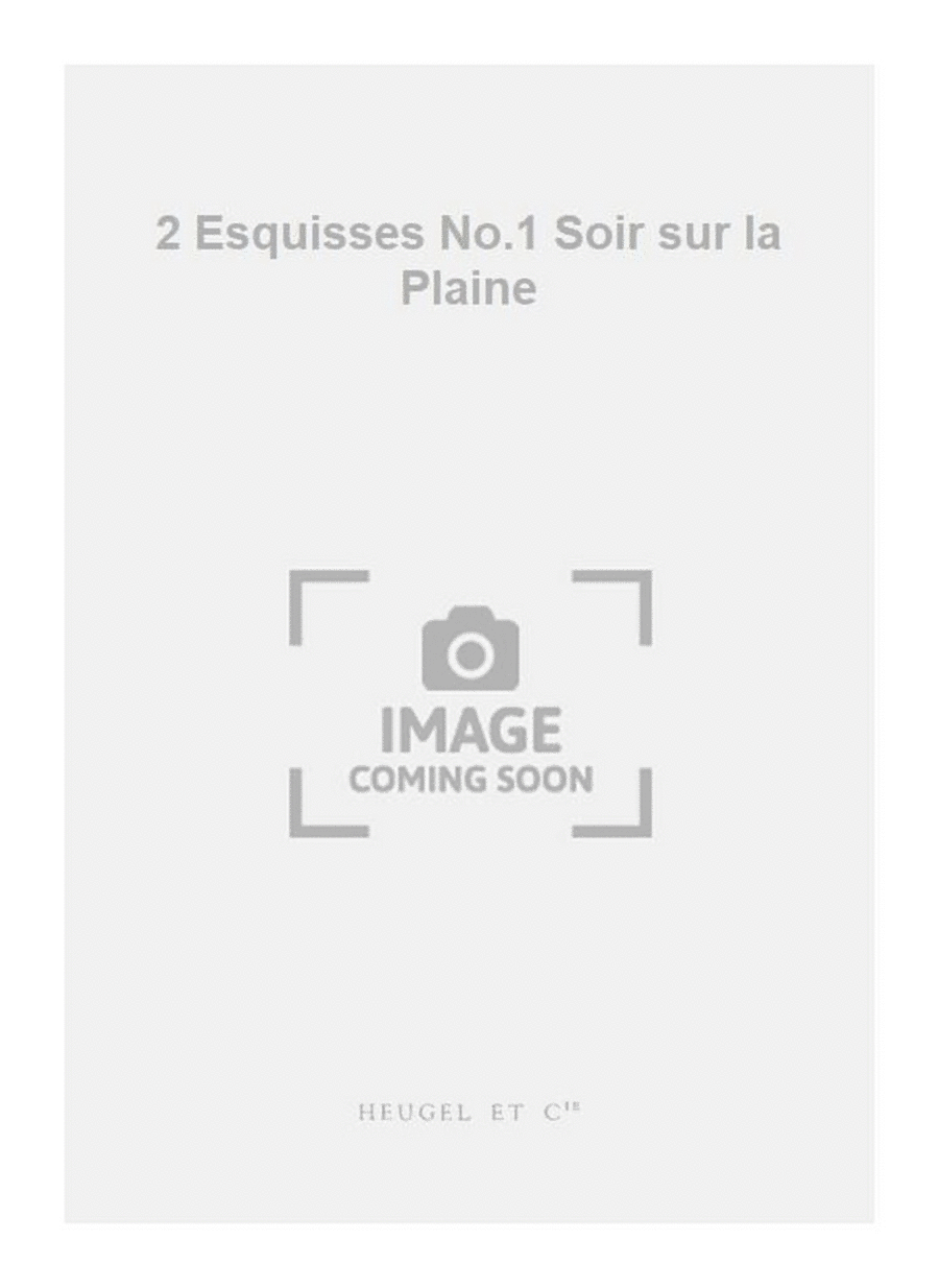 2 Esquisses No.1 Soir sur la Plaine Flute Solo scores gallery preview page 1