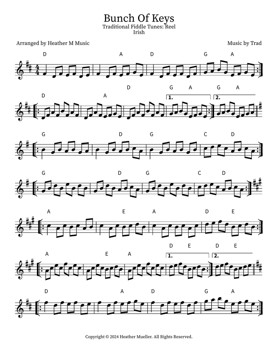 Bunch Of Keys Violin scores gallery preview page 1