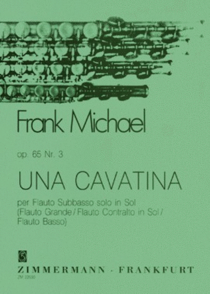 Una Cavatina Op. 65/3