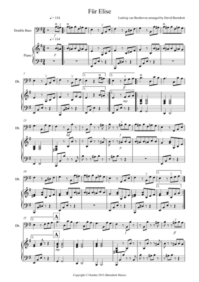 Fur Elise for Double Bass and Piano image number null