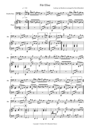 Fur Elise for Double Bass and Piano