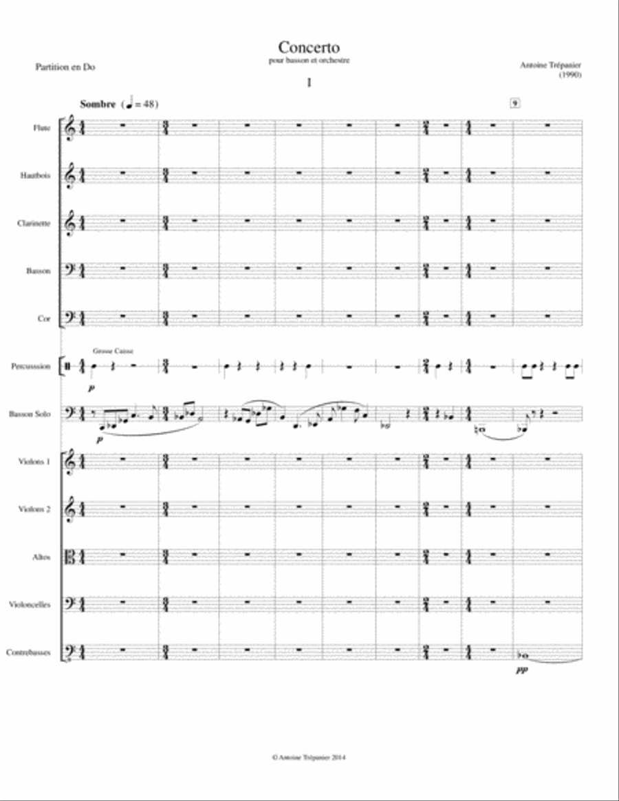 Concerto for Bassoon and Orchestra (Orchestral Score) Full Orchestra scores gallery preview page 3