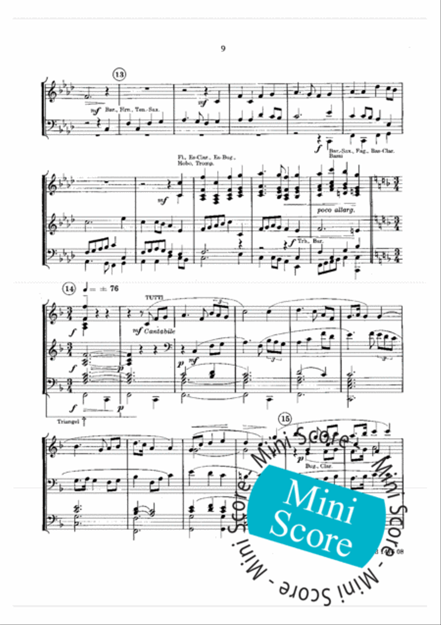 Brabant Fantasy Concert Band scores gallery preview page 15