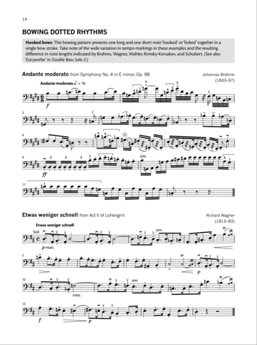 Double Bass Solo Techniques Double Bass scores gallery preview page 2