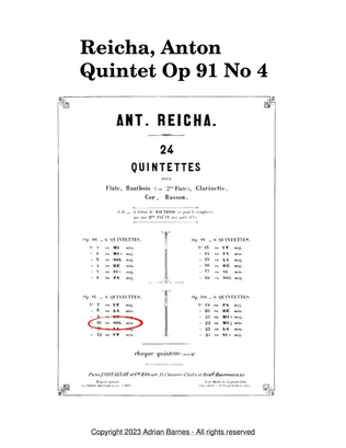 Wind Quintet Op 91 No 4 - Movement 1: Andante. Allegro Assai