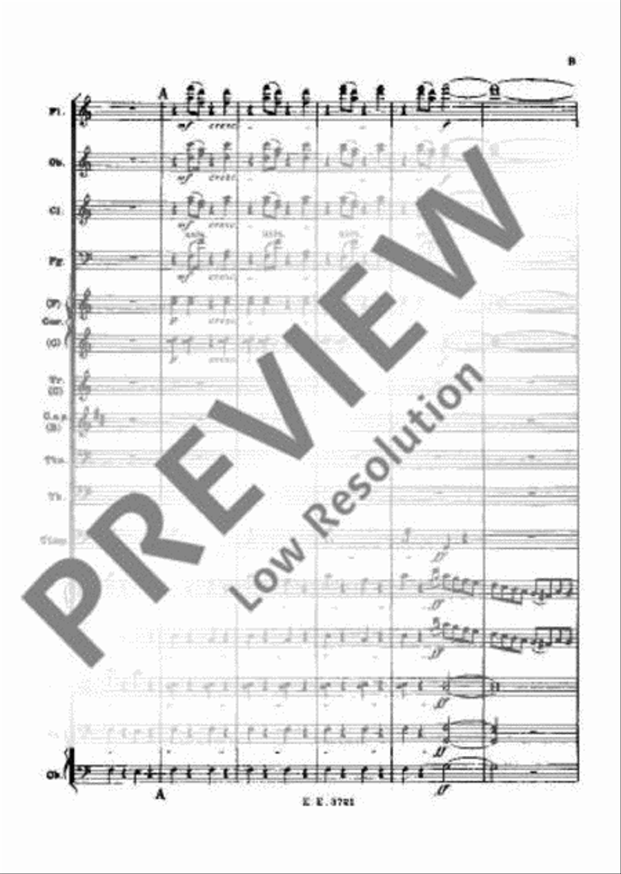 The Corsair The Corsair Orchestra scores gallery preview page 14