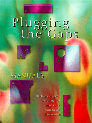 Book cover for Plugging the Gaps - Manuals