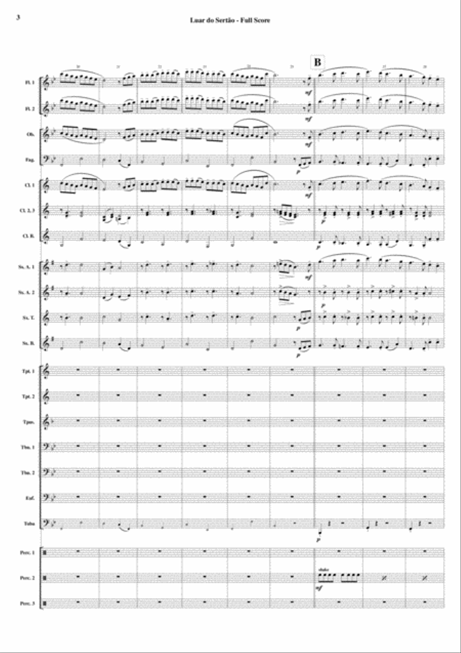 Luar do Sertão (Brazilian Moonlight) - Full Score and Parts Concert Band scores gallery preview page 5
