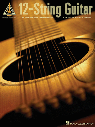 Book cover for 12-String Guitar