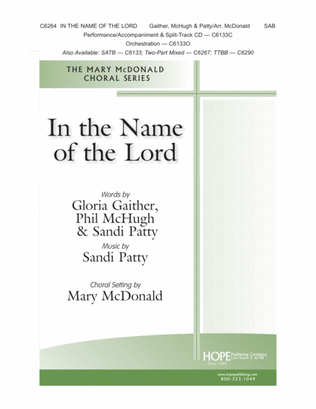 Book cover for In the Name of the Lord