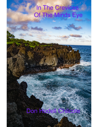 Book cover for In The Crevices of The Minds Eye