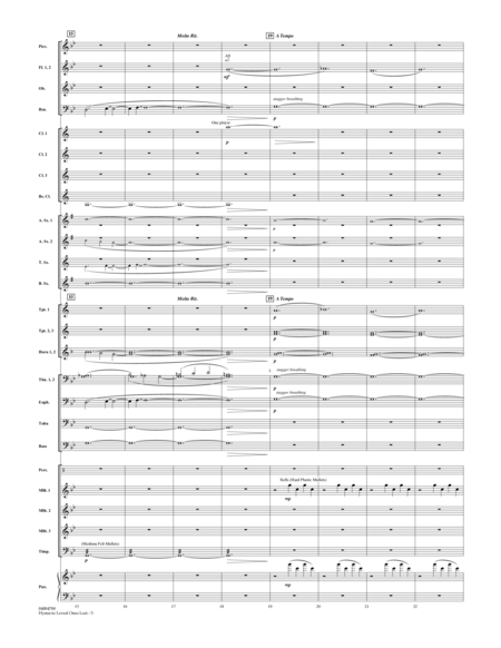 Hymn to Loved Ones Lost - Conductor Score (Full Score)