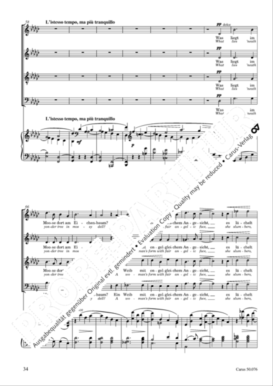 Toggenburg Toggenburg SSATB scores gallery preview page 37