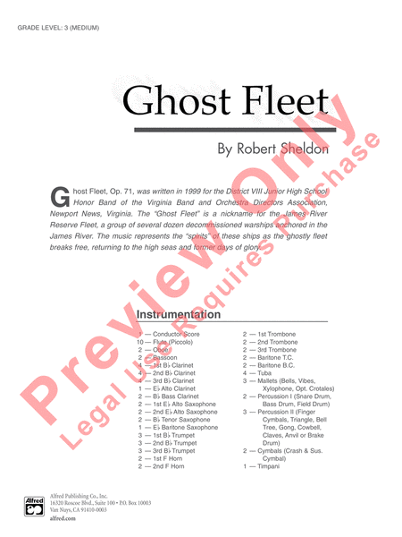 Ghost Fleet