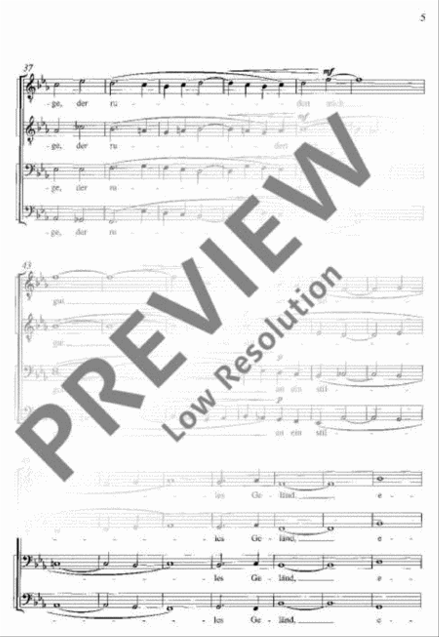 Durch Einsamkeiten TTBB scores gallery preview page 6