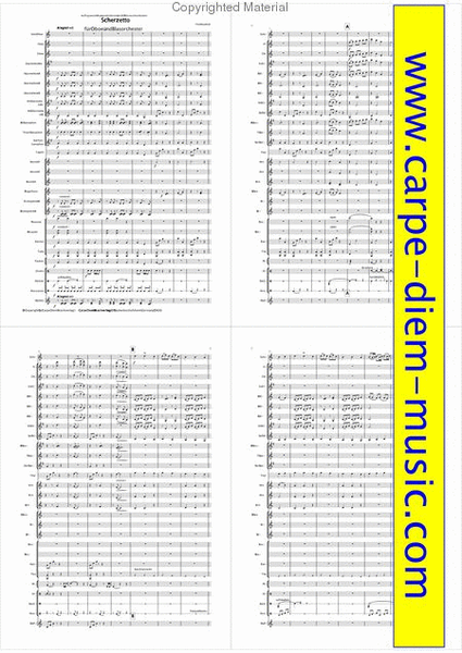 Scherzetto fur Oboe & Blasorchester image number null