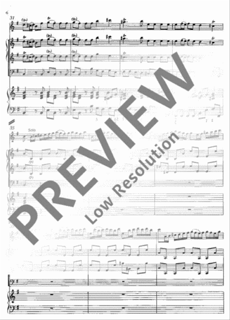 Concerto E minor Flute Solo scores gallery preview page 7