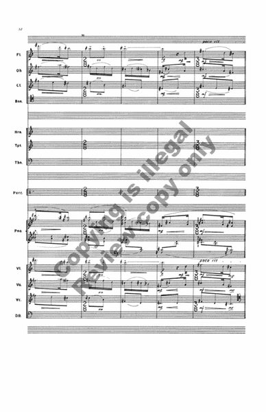 Far from These Things for Chamber Orchestra (Additional Full Score)