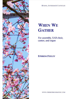 Book cover for When We Gather