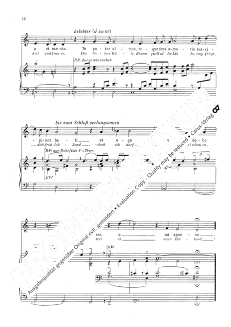 Marienklage Alto Voice scores gallery preview page 15