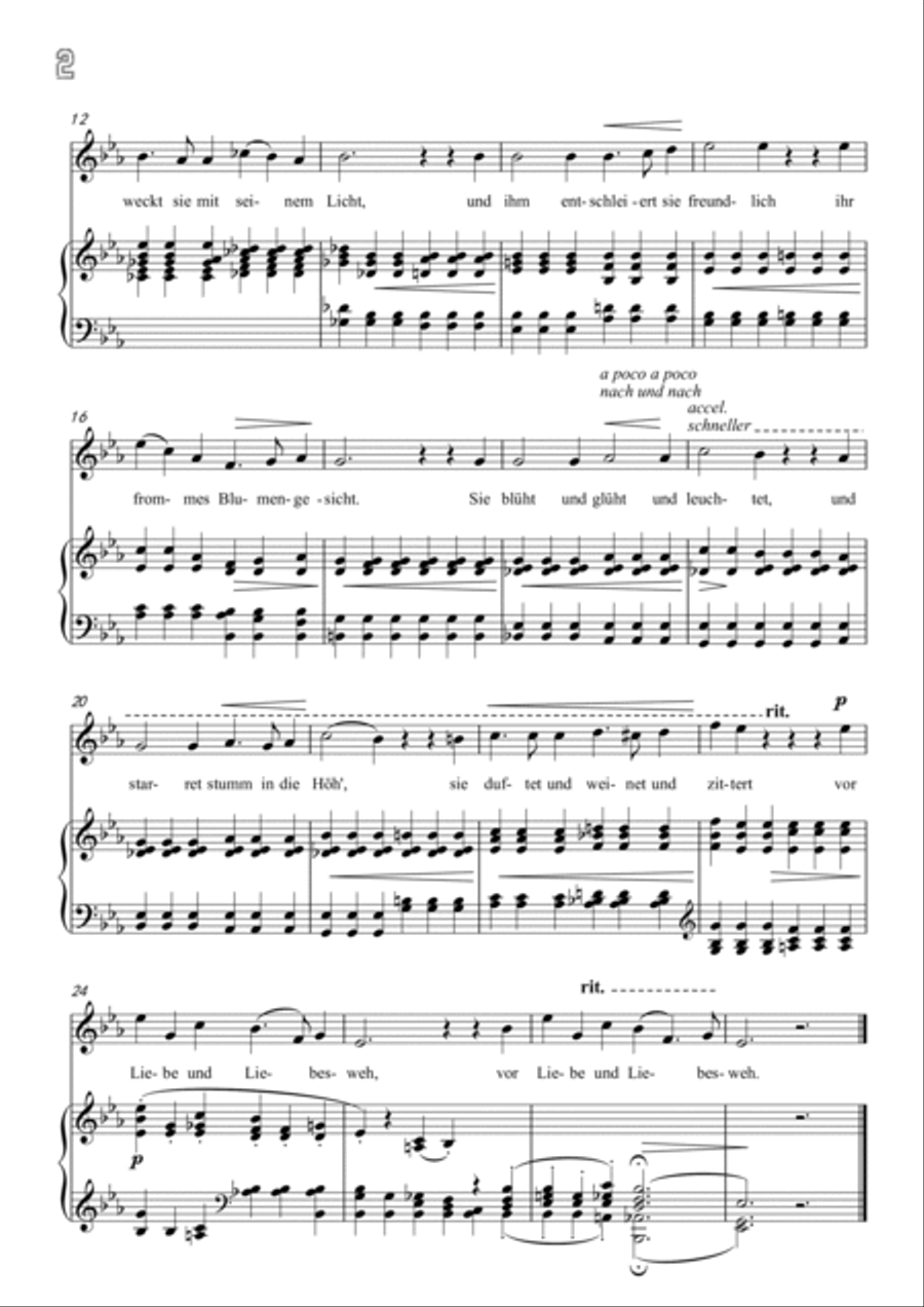 Schumann-Die Lotosblume in E♭ Major Schumann-Die Lotosblume in E♭ Major Voice scores gallery preview page 3