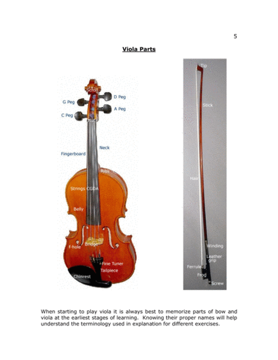Start Right: Introduction to Viola