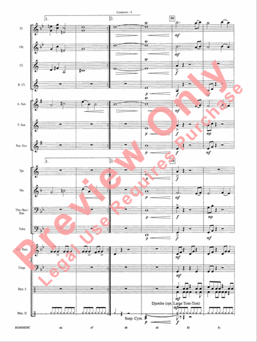 Serengeti Dreams Serengeti Dreams Concert Band scores gallery preview page 11
