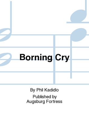 Book cover for Borning Cry