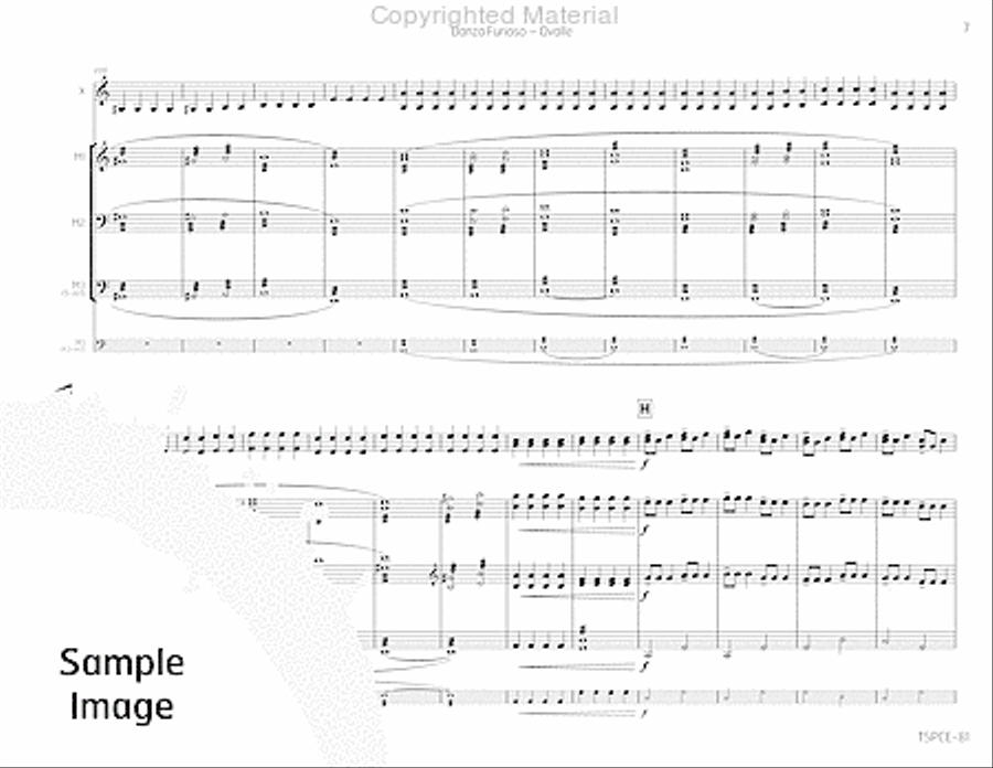 Danza Furioso Percussion Ensemble scores gallery preview page 10