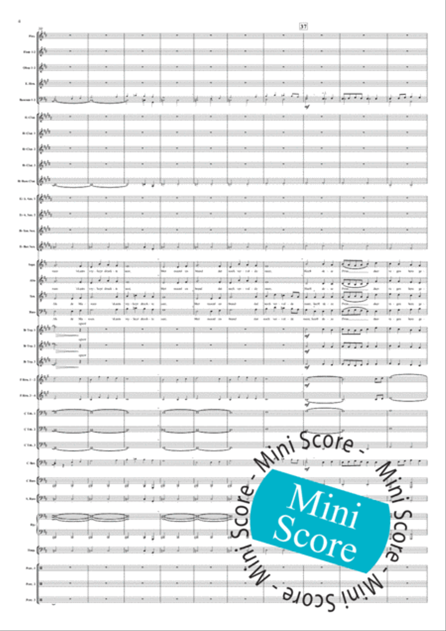 Songs of Liberation Songs of Liberation Concert Band scores gallery preview page 8