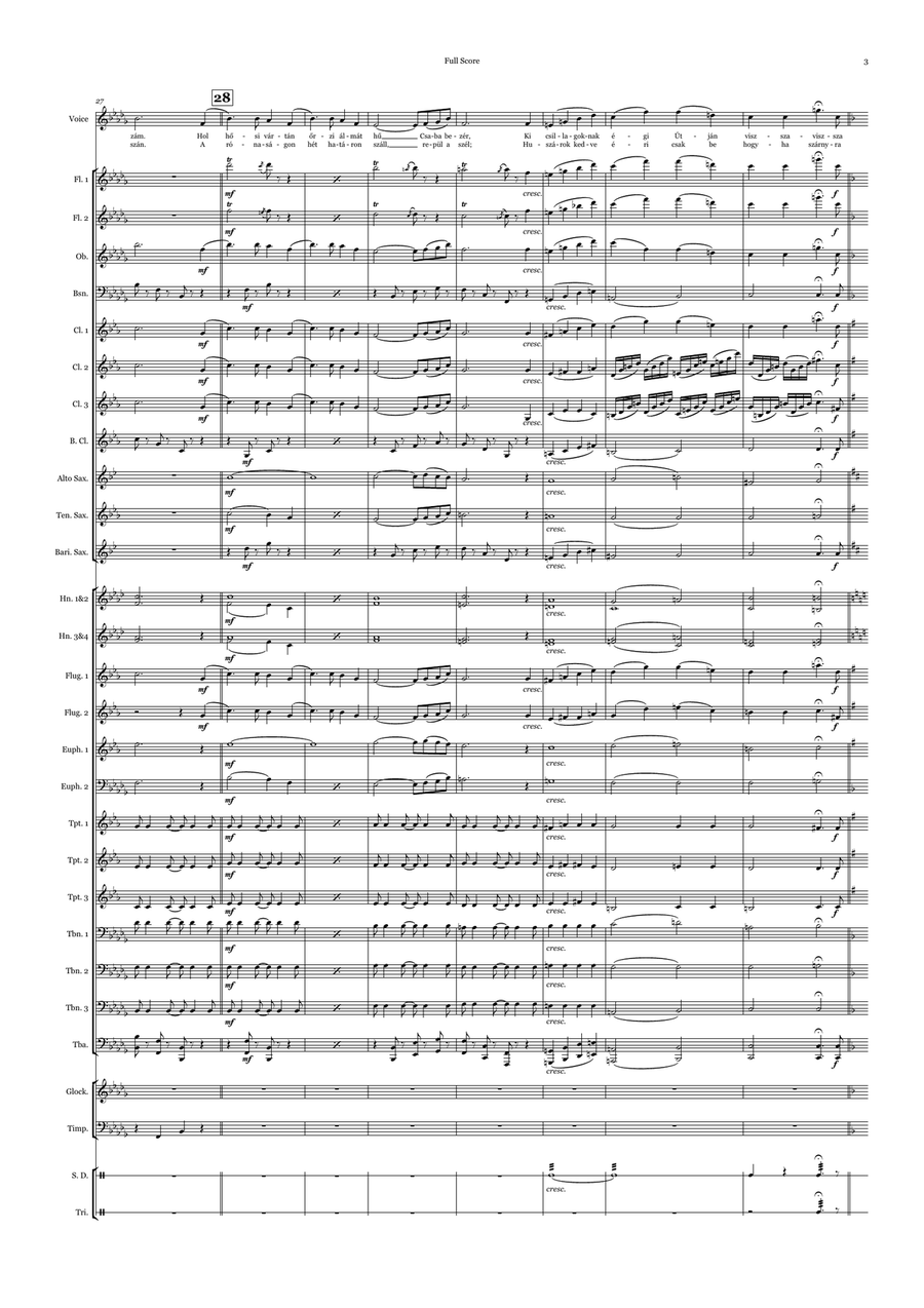 Szép vagy, gyönyörű vagy Magyarország Szép vagy, gyönyörű vagy Magyarország Concert Band scores gallery preview page 5