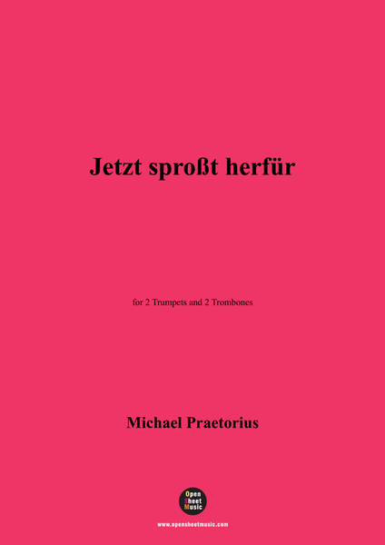 M. Praetorius-Jetzt sproßt herfür,for 2 Trumpets and 2 Trombones image number null