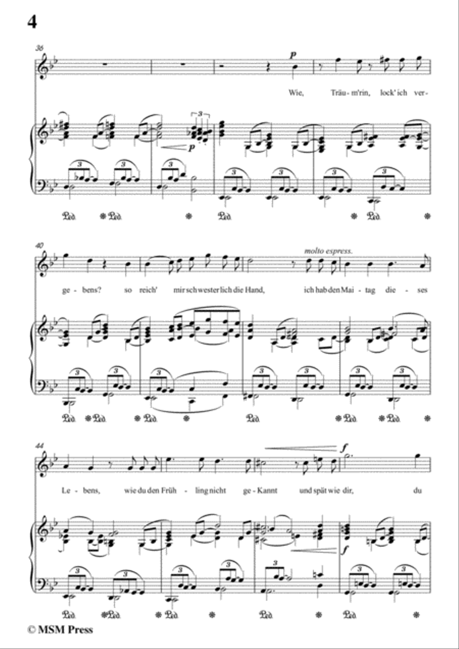 Richard Strauss-Die Georgine in g minor,for Voice and Piano Voice Solo scores gallery preview page 6