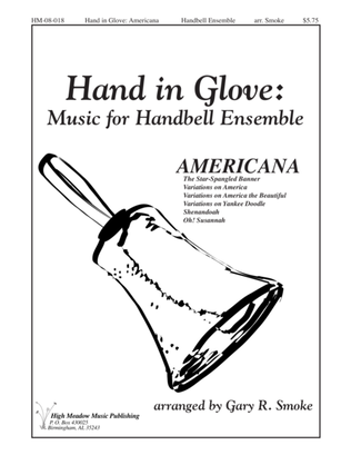 Book cover for Hand In Glove Americana