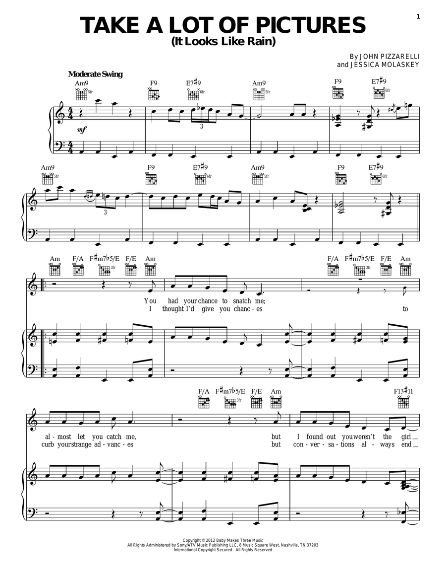 Take A Lot Of Pictures (It Looks Like Rain) Piano, Vocal, Guitar scores gallery preview page 1