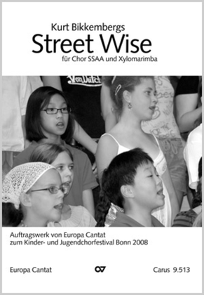 Book cover for Street Wise