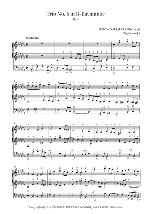Trio No. 6 in B-flat minor, Op. 4 by Juozas Naujalis (1869–1934)