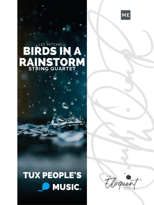 Book cover for Birds in a Rainstorm