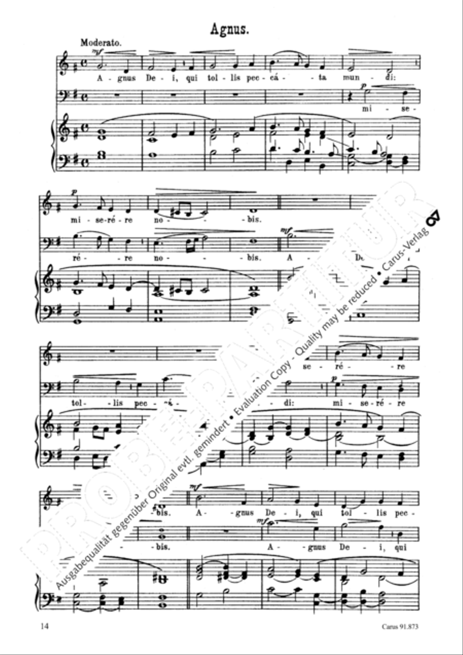 Missa in honorem S. Gregorii Choir scores gallery preview page 15