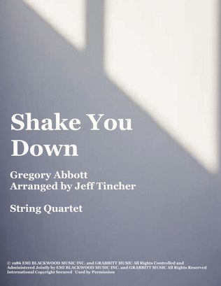 Book cover for Shake You Down