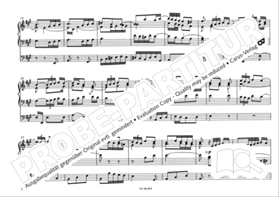 Free Organ Music from the Romantic Period, Vol. I (Freie Orgelmusik der Romantik, Band I) Organ scores gallery preview page 79