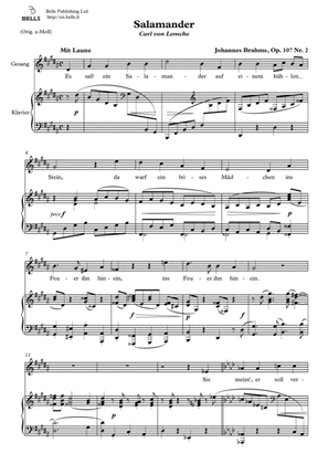 Book cover for Salamander, Op. 107 No. 2 (G-sharp minor)